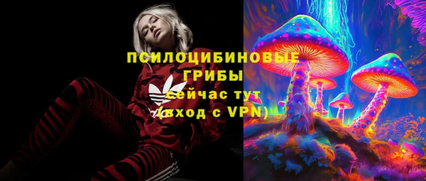 амф Алзамай